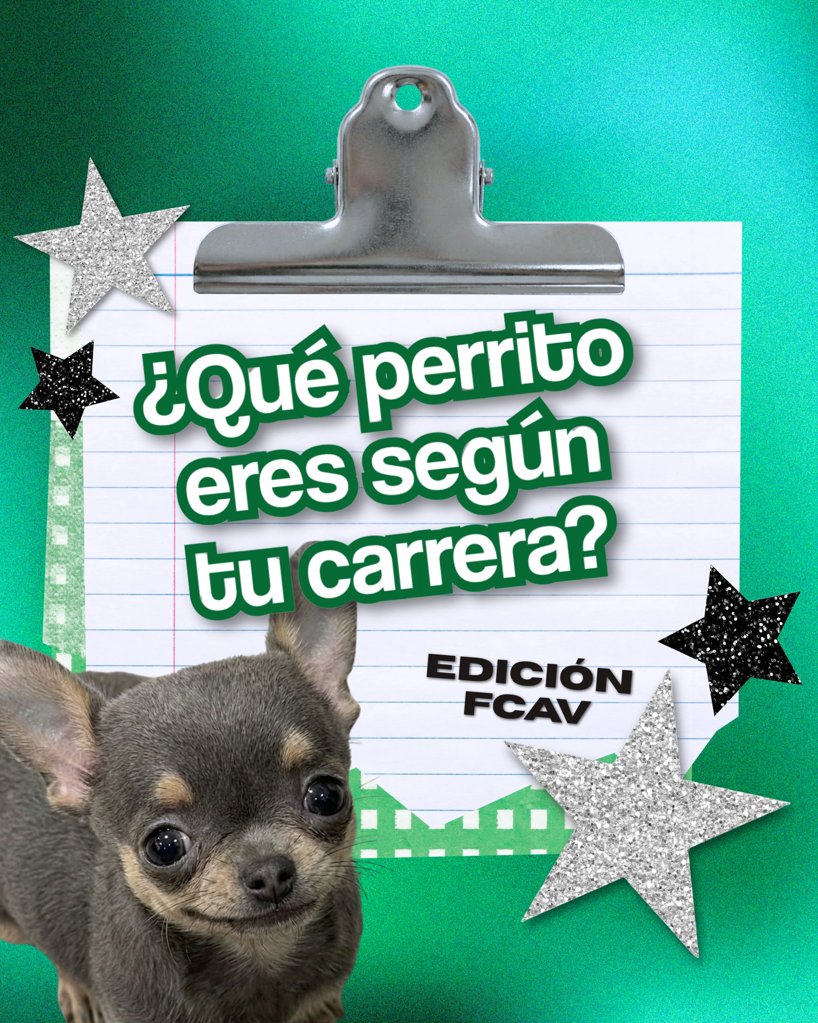 Publicación 2