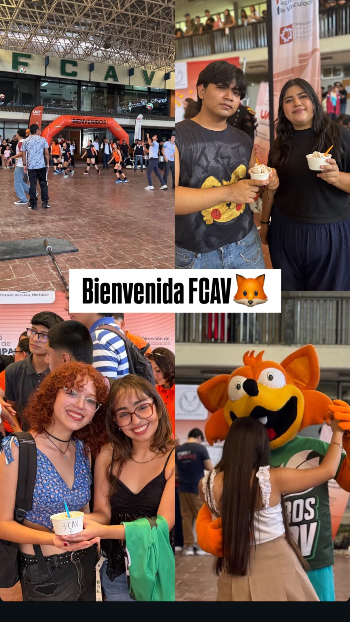 Publicación 4