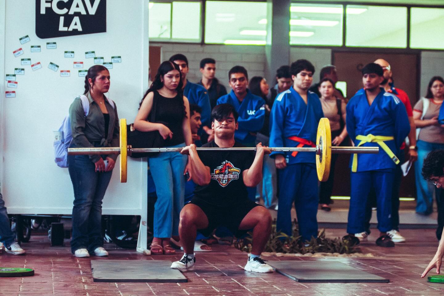 Publicación 5