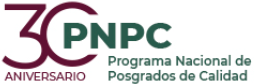 Consultas_PNPC